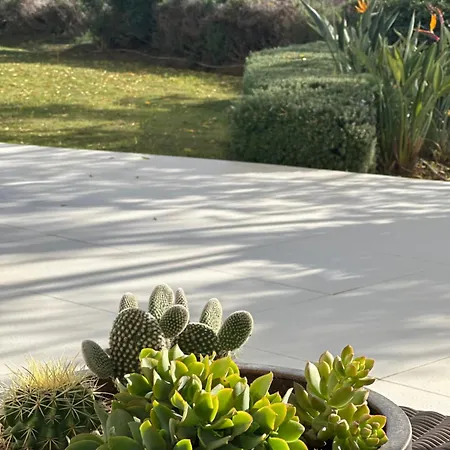 Palo Alto, Marbella, * Ojén