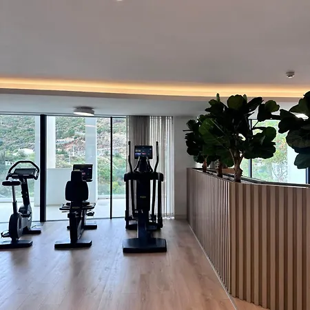 Palo Alto, Marbella,